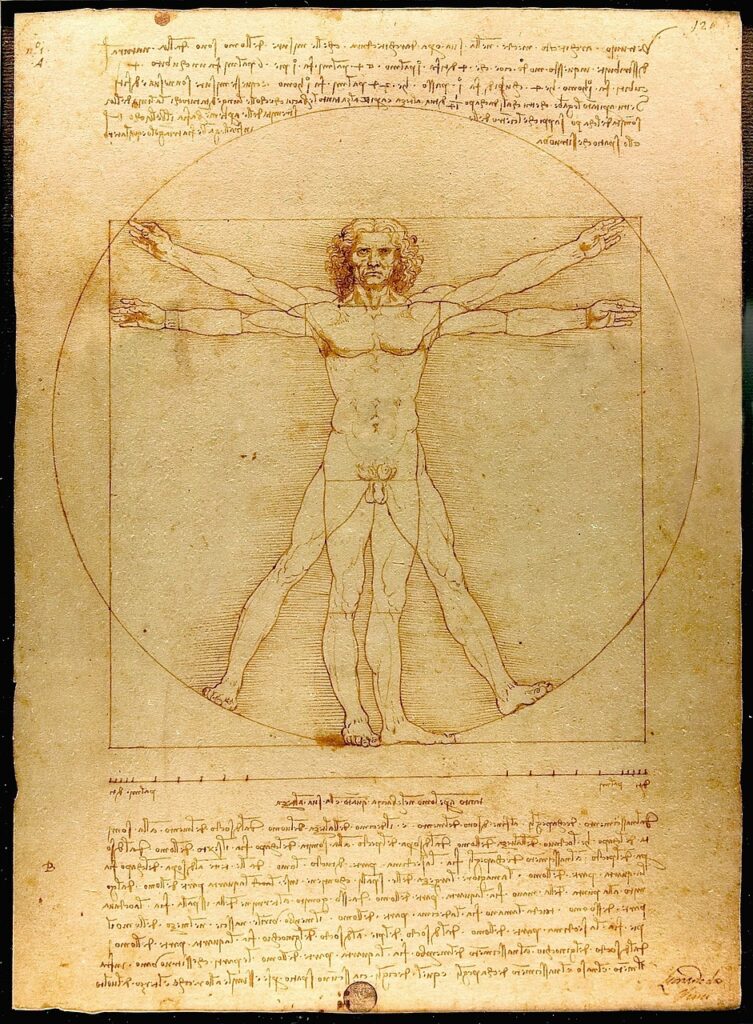 human, leonardo da vinci, the vitruvian man, homo vitruvianus, vitruvian figure, drawing, leonardo da vinci, leonardo da vinci, leonardo da vinci, leonardo da vinci, leonardo da vinci